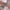 files/Heart-shaped_diamond_earrings_held_by_a_hand_with_a_blurred_background.jpg
