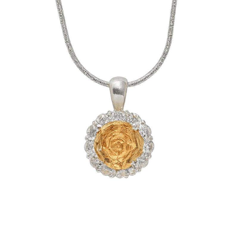 Necklace with a gold and silver pendant on a green background