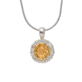 Necklace with a gold and silver pendant on a green background