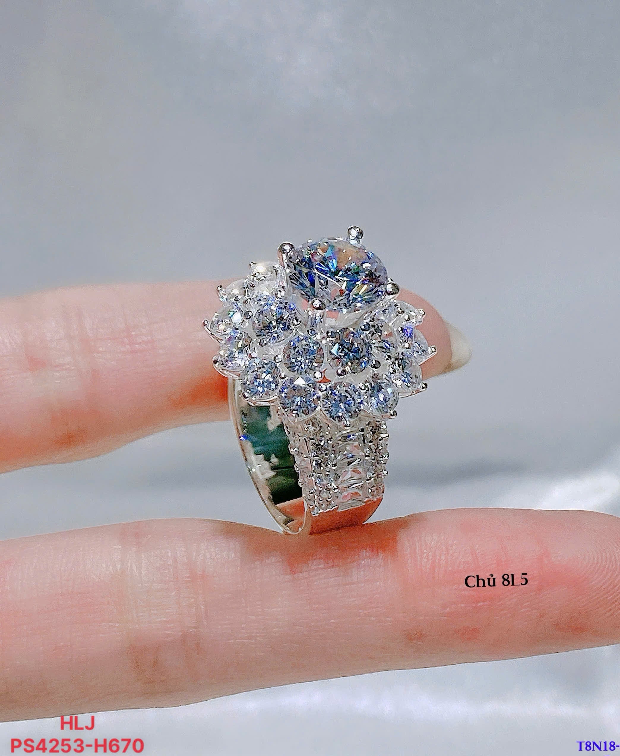 Celeste Bloom Moissanite Ring – Halo Grace