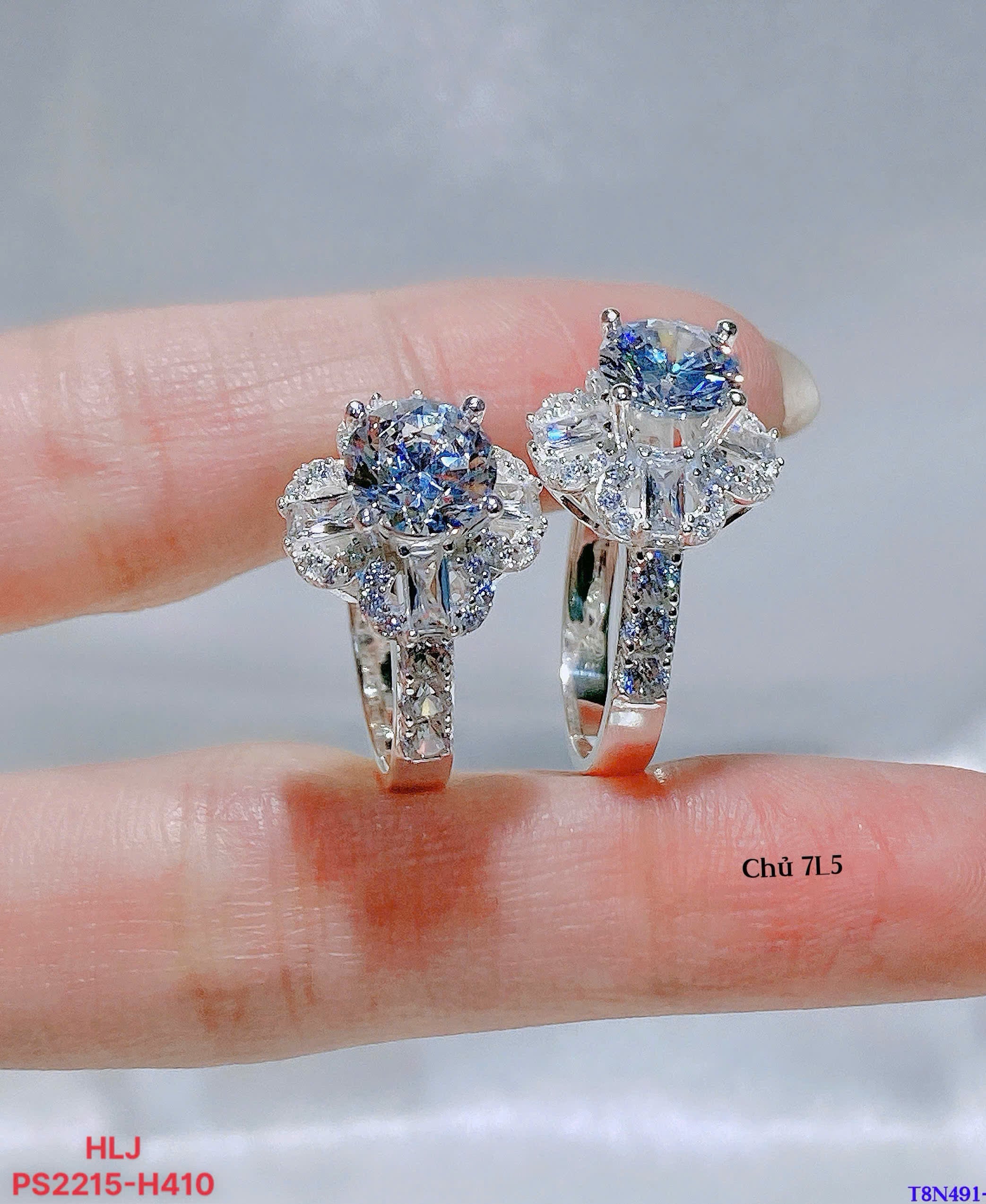 Celeste Bloom Moissanite Ring – Halo Grace