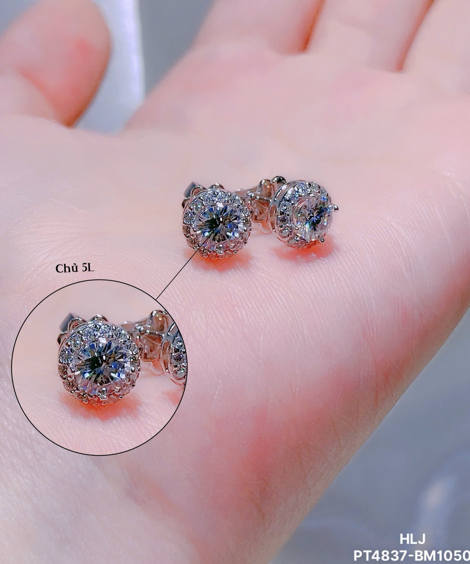 PetalHalo Moissanite Stud Earrings – Classic Sparkle