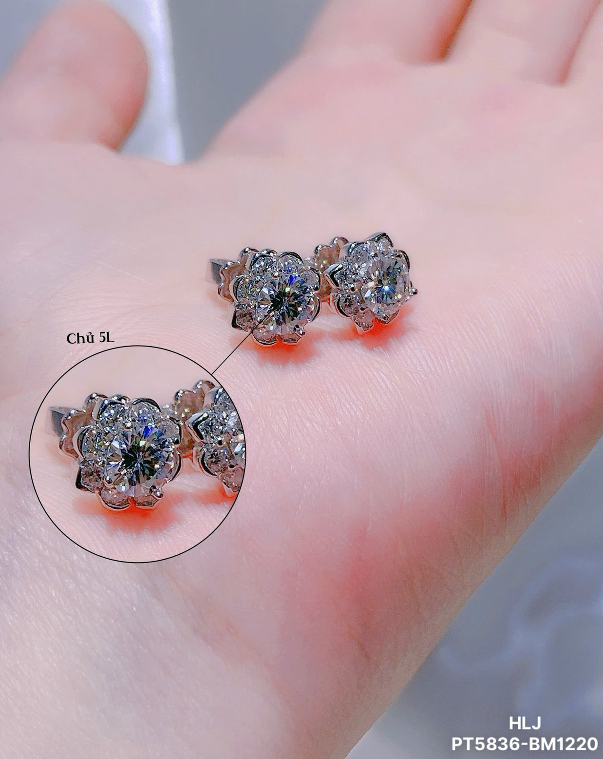 PetalHalo Moissanite Stud Earrings – Classic Sparkle