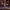 Emperor Fancy Set – Royal Boldness