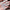 Emperor Fancy Set – Royal Boldness