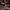 Emperor Fancy Set – Royal Boldness