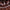 Emperor Fancy Set – Royal Boldness