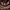 Emperor Fancy Set – Royal Boldness