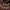 Emperor Fancy Set – Royal Boldness
