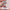 files/z6902549209675_85e5fc236f240bbb19a7b76ab2654c45.jpg